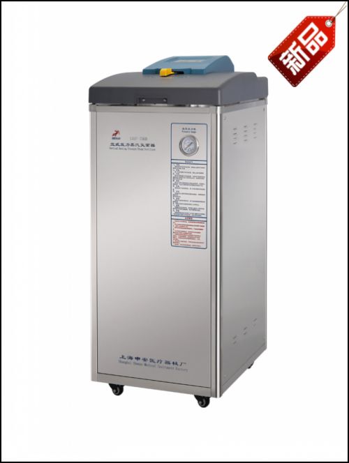 LDZM-80KCS-Ⅱ 蒸汽內(nèi)排 蒸汽滅菌器多少錢