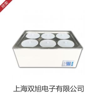 【雙旭牌】便攜式溶氧儀SG6-FK10廠家