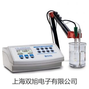 【雙旭牌】溶解氧分析儀JPSJ-605供應(yīng)商