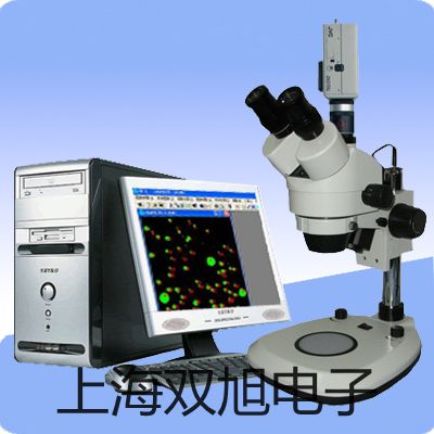 【雙旭牌】4V210-064V21006電磁閥價(jià)格