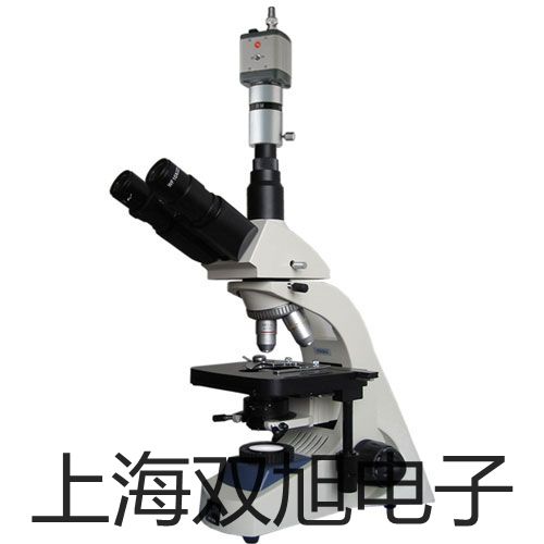 ���p���ơ������ƽSPS2001F�S��