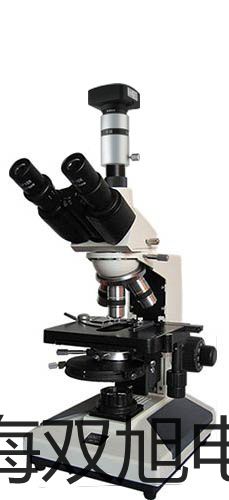 ���p���ơ����ż�b��ʽ���ż�N(xi��o)��