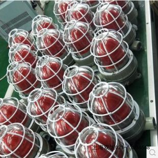 MS-590�����L(f��ng)���p����ʌ��È�����r